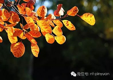 【大事記】輝煌八周年-第三季度員工表彰大會(huì)！